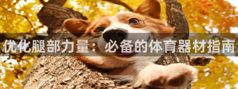 耀世国际平台正规吗可信吗：优化腿部力量：必备的体育器
