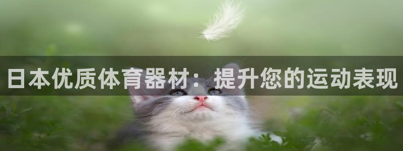 耀世平台遇 411o31 平台：日本优质体育器材：提