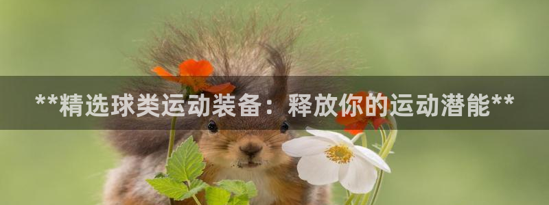 耀世娱乐平台巴7O777：**精选球类运动装备：释放