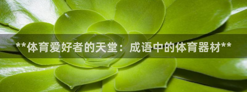耀世娱乐提款机怎么用：**体育爱好者的天堂：成语中的