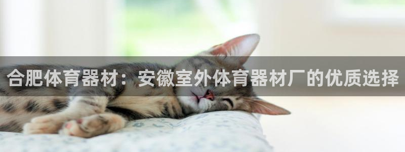 耀世平台开户要求：合肥体育器材：安徽室外体育器材厂的