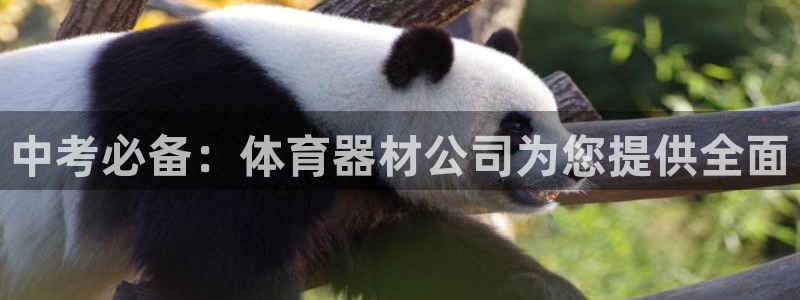 耀世天下和如日中天哪个好：中考必备：体育器材公司为您