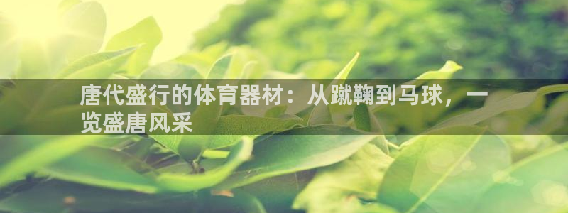 耀世平台必7O777：唐代盛行的体育器材：从蹴鞠到马