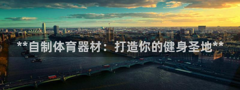 耀世娱乐网址是什么软件：**自制体育器材：打造你的健