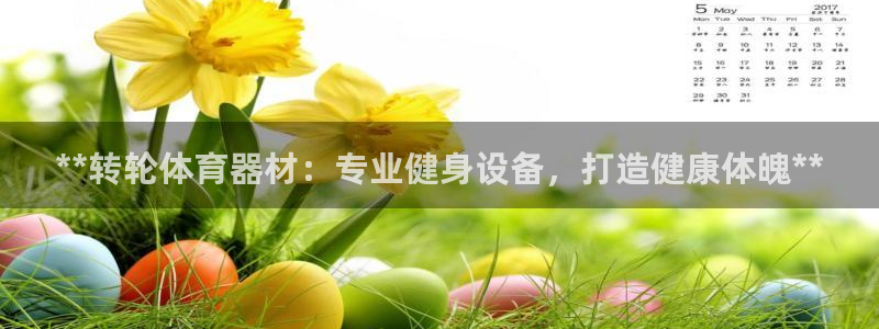哪吒s耀世版价格：**转轮体育器材：专业健身设备，打