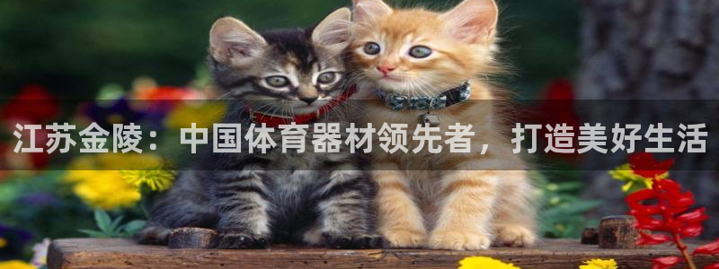 耀世娱乐辅助软件下载安卓：江苏金陵：中国体育器材领先