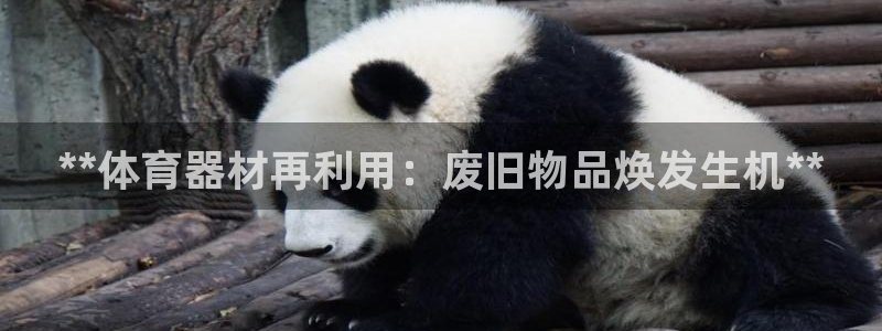 耀世歌曲：**体育器材再利用：废旧物品焕发生机**
