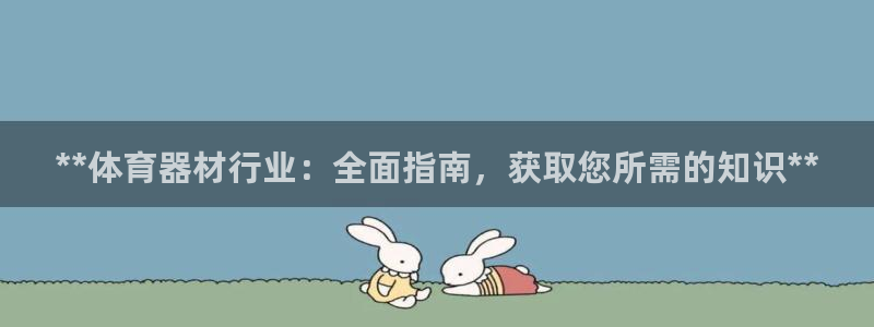 耀世娱乐网址是什么软件：**体育器材行业：全面指南，