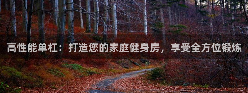 耀世集团是干嘛的企业啊知乎：高性能单杠：打造您的家庭