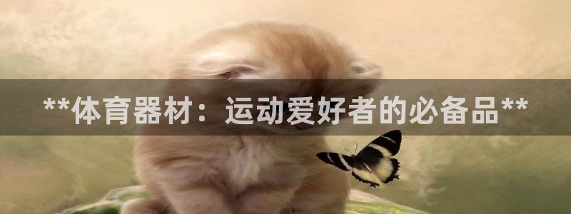 耀世平台负责人怎么样：**体育器材：运动爱好者的必备