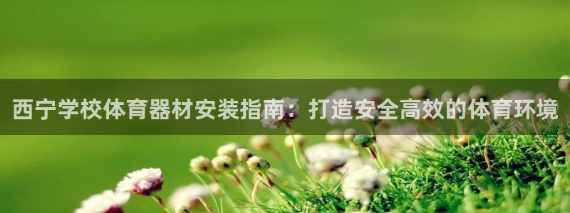 耀世娱乐安全吗：西宁学校体育器材安装指南：打造安全高
