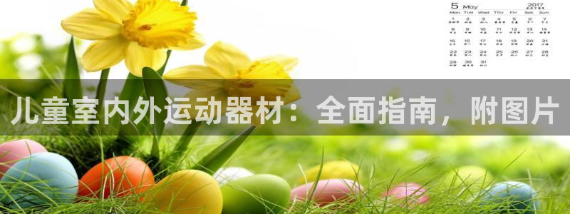 耀世平台总代理电话：儿童室内外运动器材：全面指南，附