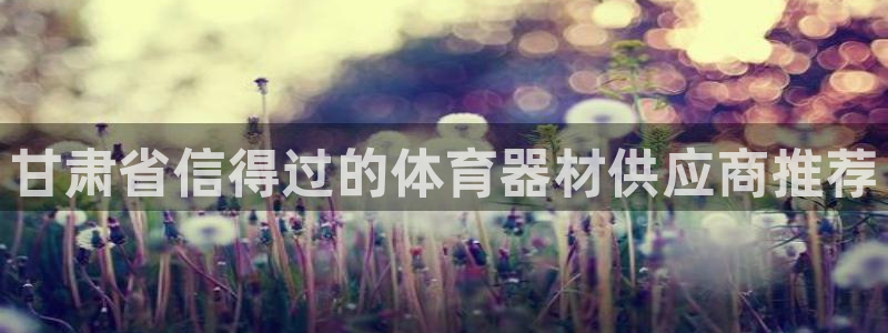耀世平台代理多少钱一个月：甘肃省信得过的体育器材供应