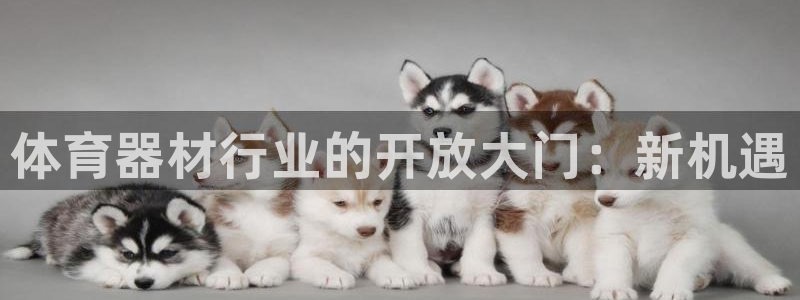 耀世娱乐腾讯分分彩：体育器材行业的开放大门：新机遇