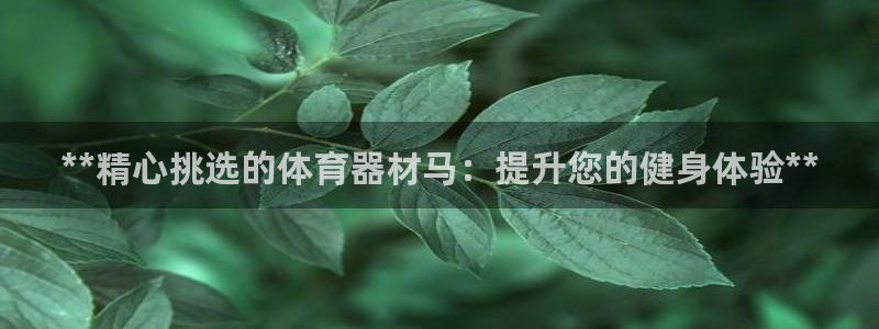 耀世平台负责人：**精心挑选的体育器材马：提升您的健