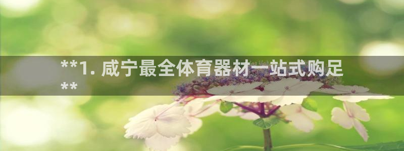 耀世娱乐在线登录官网入口网址：**1. 咸宁最全体育