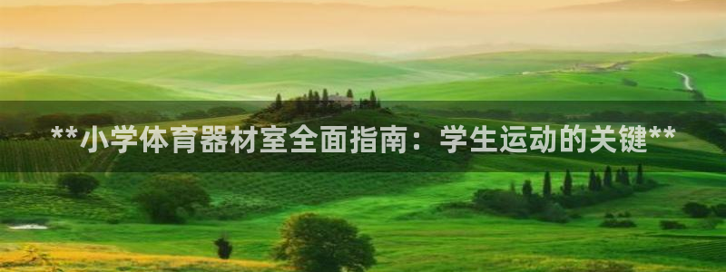 耀世娱乐提款怎么取消：**小学体育器材室全面指南：学