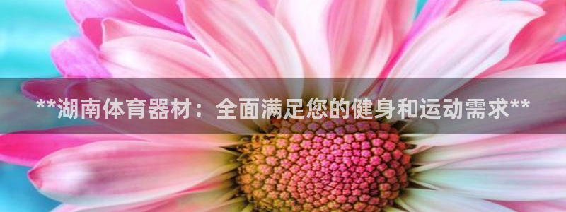 耀世集团商业联盟：**湖南体育器材：全面满足您的健身