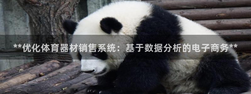 耀世雷霆下载：**优化体育器材销售系统：基于数据分析