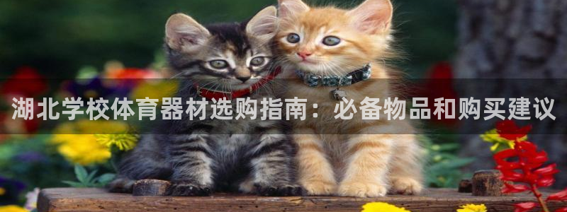 耀世平台寇 5O6917 耀世：湖北学校体育器材选购