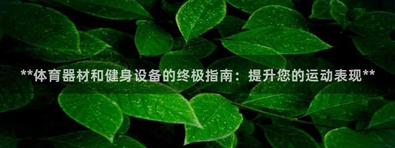 耀世娱乐优 411o31 耀世：**体育器材和健身设