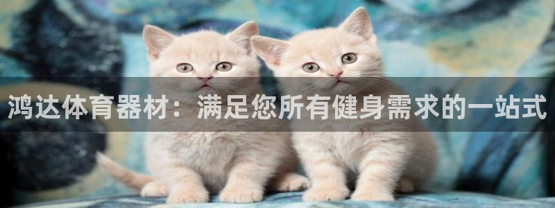耀世娱乐注册资金多少：鸿达体育器材：满足您所有健身需