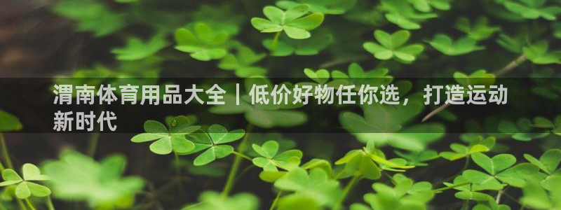 耀世娱乐平台官网登录：渭南体育用品大全｜低价好物任你