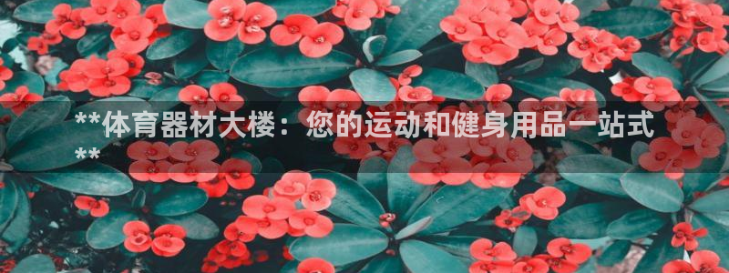 耀世娱乐提款怎么取消：**体育器材大楼：您的运动和健