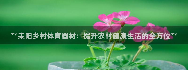 耀世娱乐百科官网：**耒阳乡村体育器材：提升农村健康