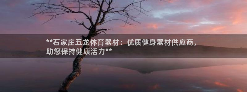 耀世娱乐联 585341：**石家庄五龙体育器材：优