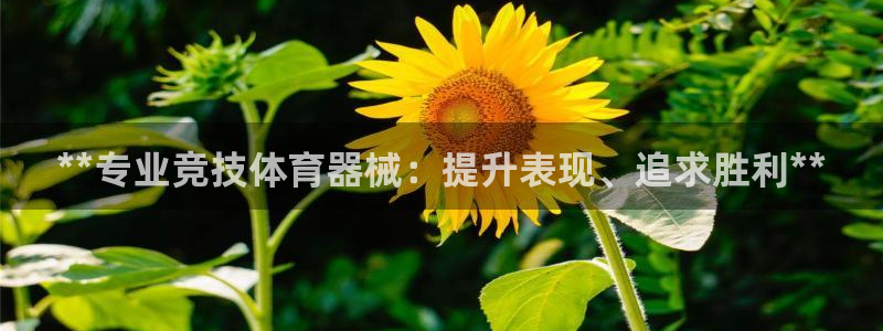 耀世集团视频直播怎么样：**专业竞技体育器械：提升表