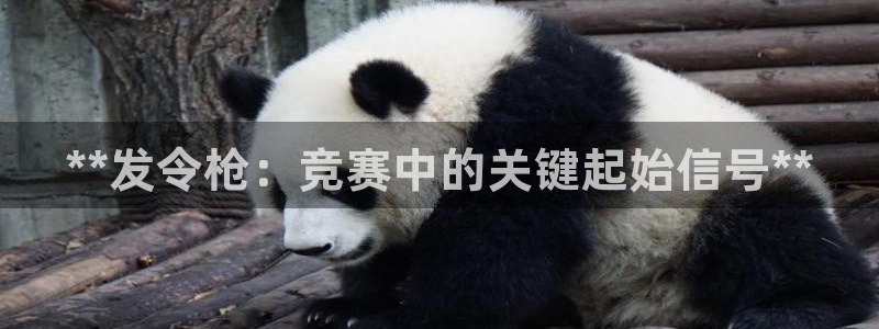 耀世娱乐是个什么平台啊：**发令枪：竞赛中的关键起始