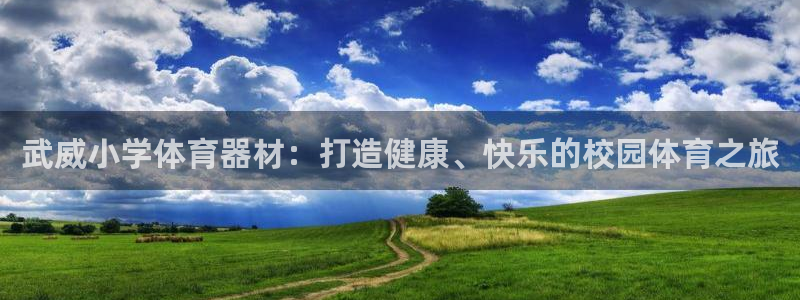 武威小学体育器材：打造健康、快乐的校园体育之旅