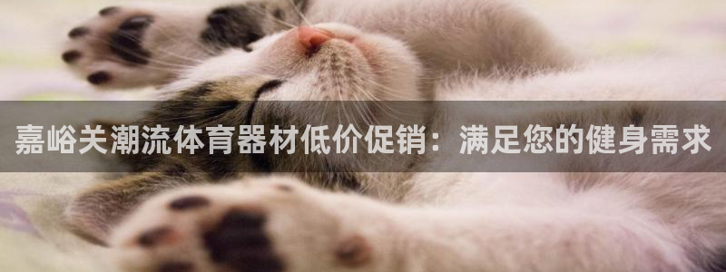 耀世集团小说：嘉峪关潮流体育器材低价促销：满足您的健