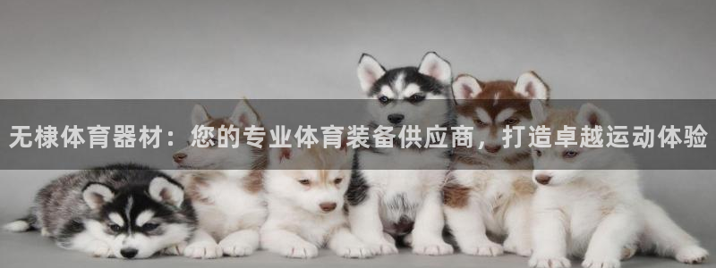 耀世平台最新注册地址在哪看：无棣体育器材：您的专业体