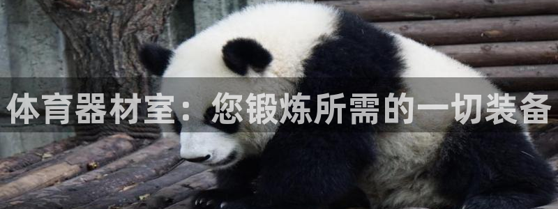 耀世娱乐建334-82 主管：体育器材室：您锻炼所需