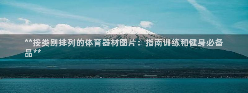 耀世娱乐赢咖6代理：**按类别排列的体育器材图片：指