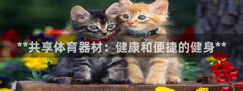 耀世是什么车：**共享体育器材：健康和便捷的健身**