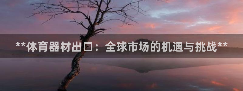 耀世平台最新注册地址在哪看：**体育器材出口：全球市