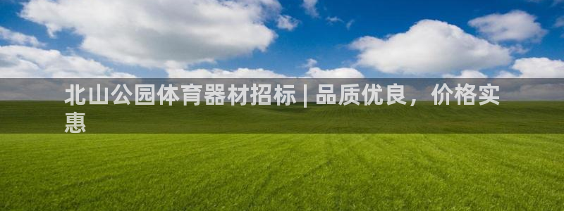 耀世娱乐辅助软件下载：北山公园体育器材招标 | 品质