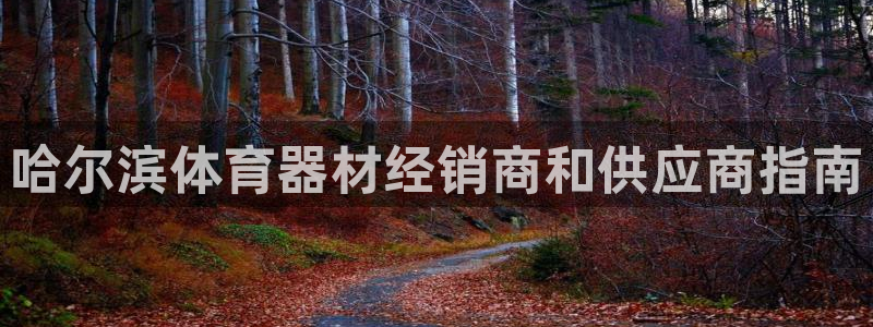 耀世微光下载：哈尔滨体育器材经销商和供应商指南