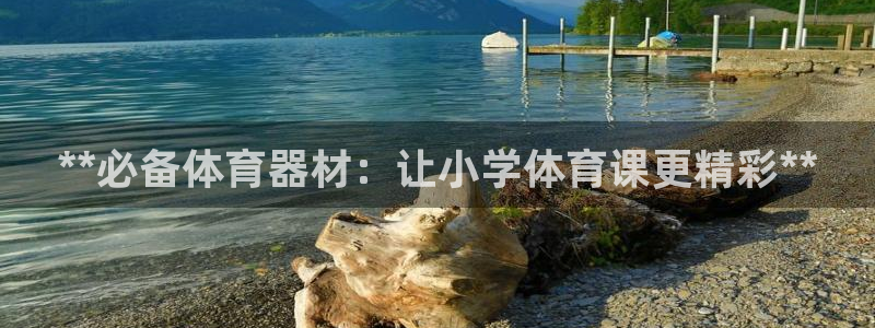 耀世盛典手游下载：**必备体育器材：让小学体育课更精