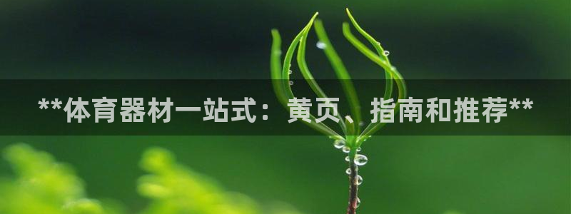 耀世楼盘