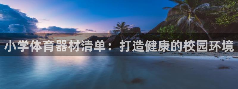 耀世娱乐下载链接安装不了：小学体育器材清单：打造健康