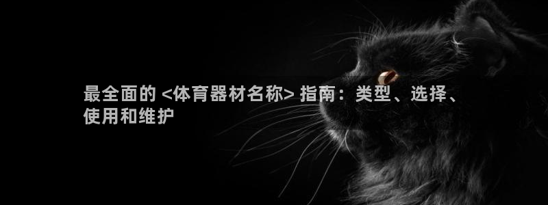 耀世小说全文免费阅读：最全面的 <体育器材名称> 指