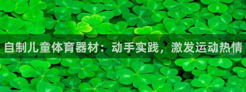 耀世平台有很多登录地址怎么办：自制儿童体育器材：动手