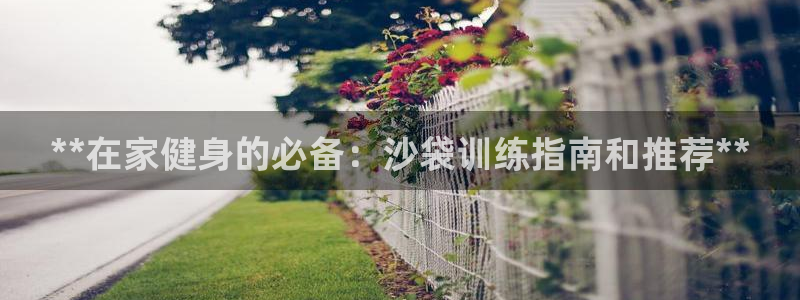 耀世娱乐含山设备：**在家健身的必备：沙袋训练指南和
