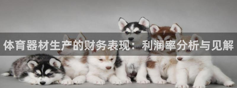 耀世汽车：体育器材生产的财务表现：利润率分析与见解