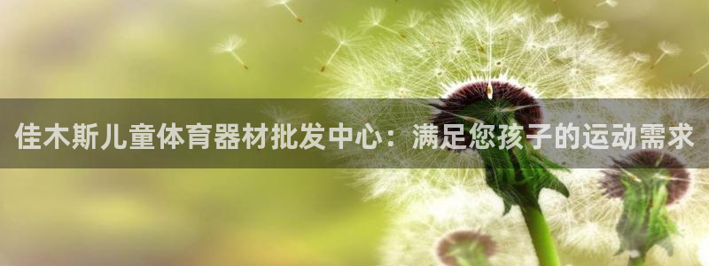 耀世娱乐登陆官网入口：佳木斯儿童体育器材批发中心：满
