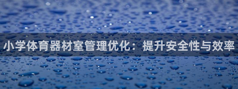 耀世娱乐提现失败：小学体育器材室管理优化：提升安全性